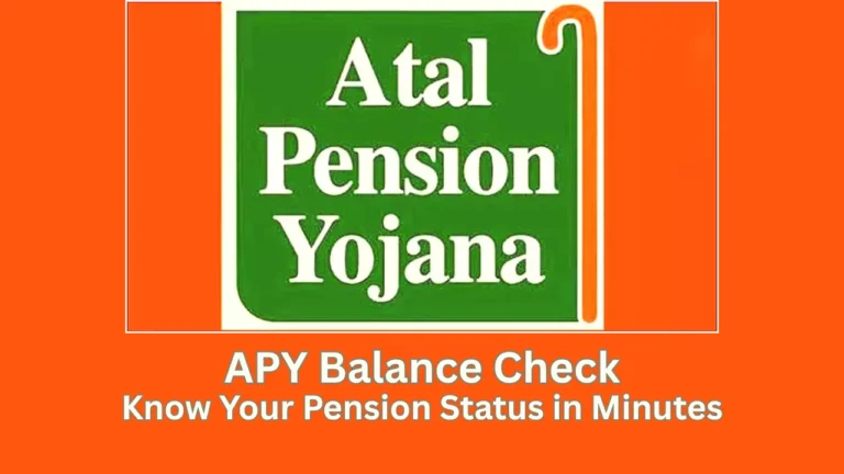 apy balance check