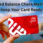 nol card balance check