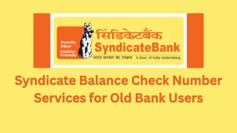 syndicate balance check number