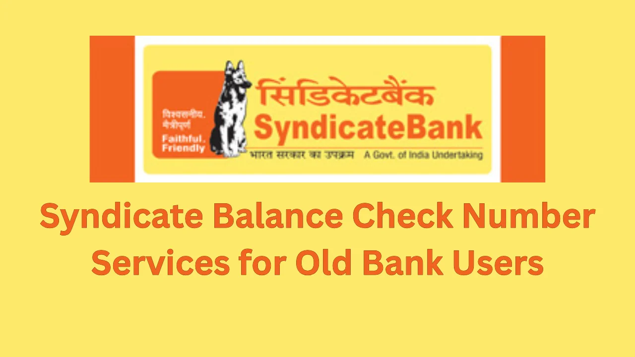 syndicate balance check number